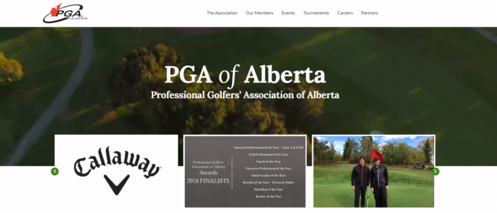 Member Profile - Stay Updated