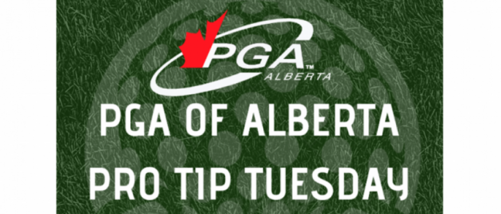 Pro Tip Tuesday - Deadline to Submit December 15th