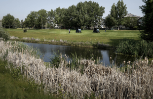 adidas Golf - EFW Radiology Pro-Lady South