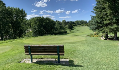 2023 Ladies’ & Seniors’ Championship - Update