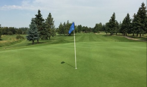 Play Ability Test #2 Draw – Stony Plain GC